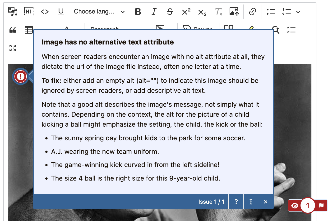 Open alert flagging an image with no alternative text attribute.